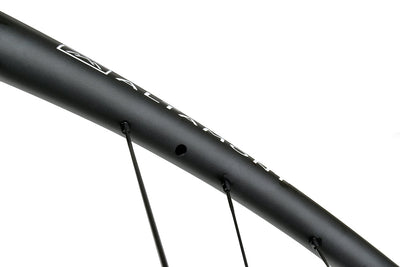 Altamont Alloy Disc Rear Wheel