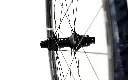 36 Road Disc SL Rear Hub Detail 3.webp