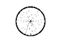 768A4986.webp