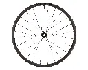 Reiver rear.webp