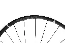 768A5610.webp